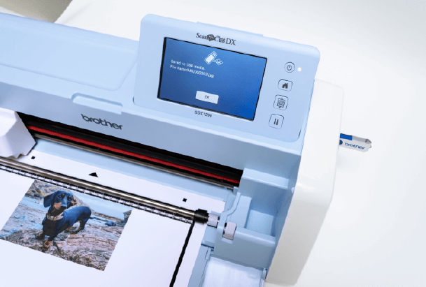 SNC DX Web Image_600dpi Scan to USB